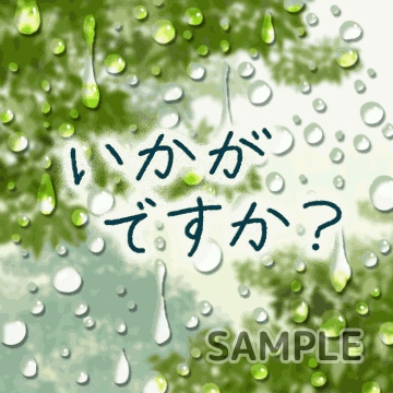梅雨「いかがですか？」