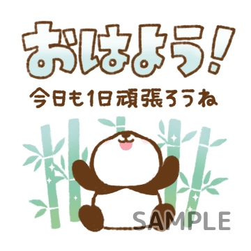 長文パンダ「おはよう！」