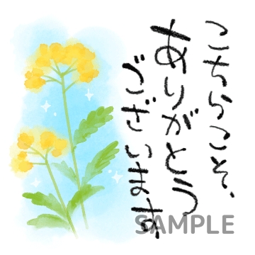 水彩画の花々「こちらこそありがとう」