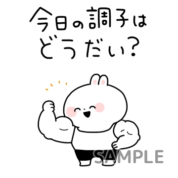 きんにくうさぎ「今日の調子はどうだい？」