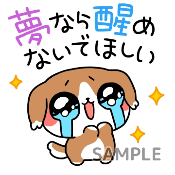 信じられない「夢なら醒めないでほしい」