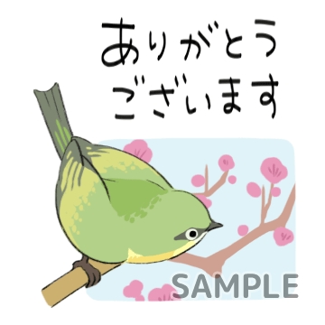 日本の小鳥「ありがとうございます」